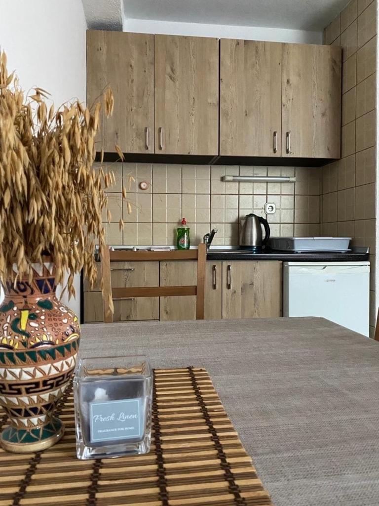 Apartmani Marija Núi Núi Jahorina Ngoại thất bức ảnh
