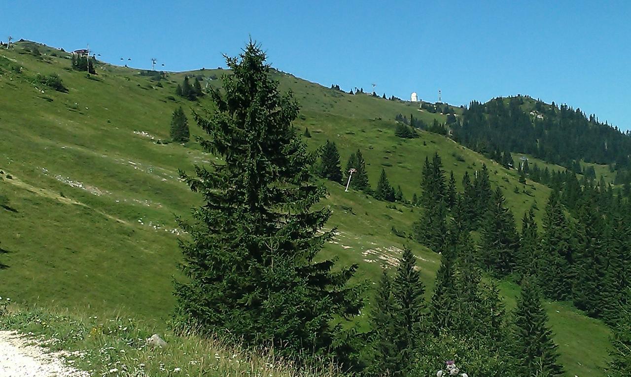 Apartmani Marija Núi Núi Jahorina Ngoại thất bức ảnh